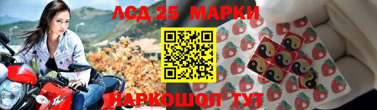 Лсд 25 экстази ecstasy  Вход с VPN  Новоалтайск  Лсд 25 экстази ecstasy 